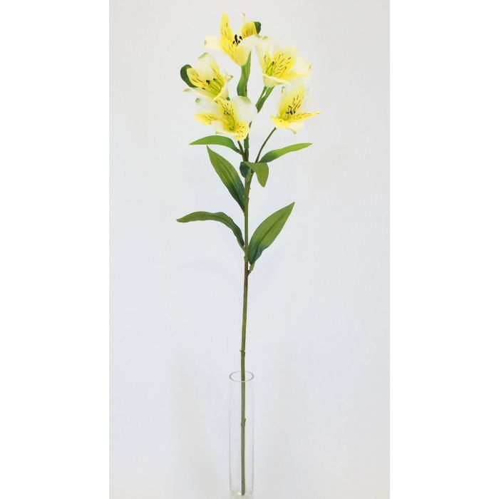 ALSTROMERIA