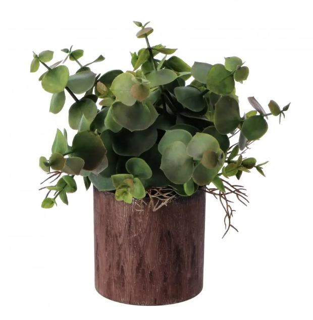ZELENILO U PITARU 7,5/20 CM