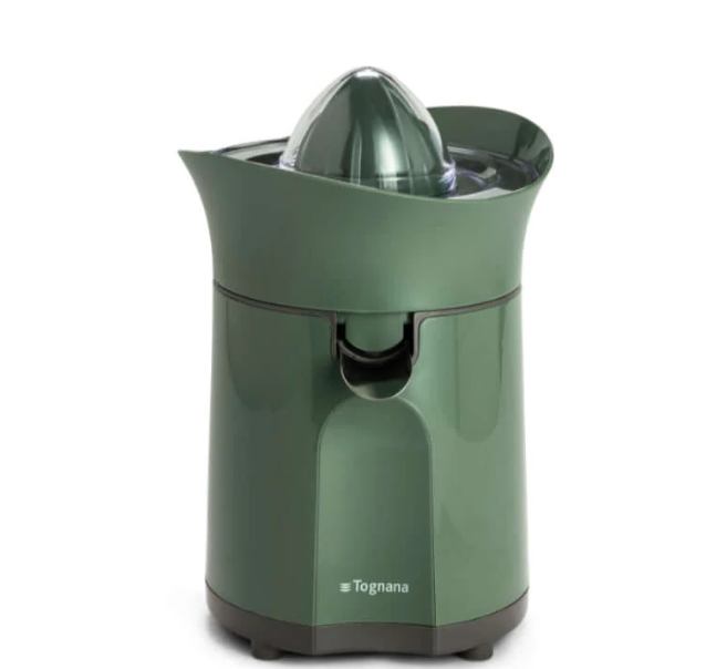 TOGNANA CITRUSETA 100 W ZELENA